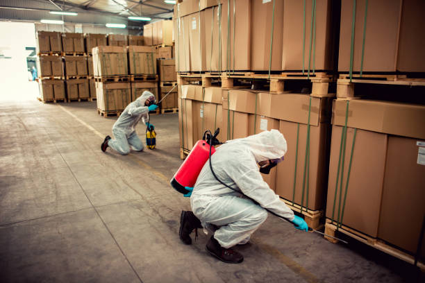 Best Pest Inspection Near Me  in Hudson, OH