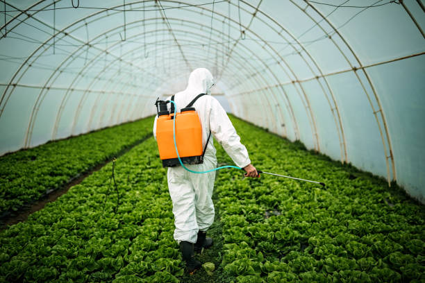 Best Local Pest Control Services  in Hudson, OH