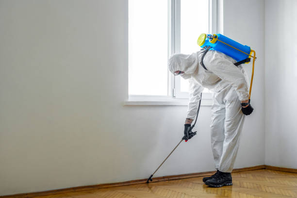 Best Wasp Removal Services  in Hudson, OH