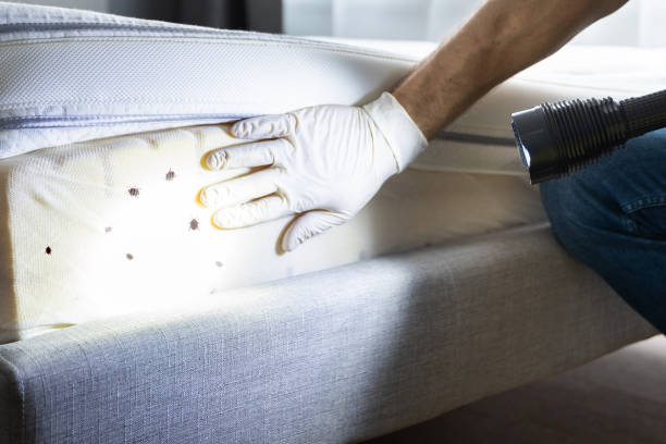 Pest Control Cost in Hudson, OH