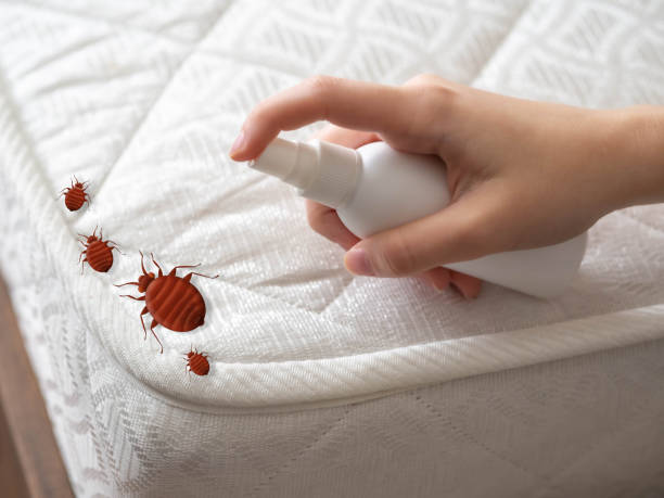 Reliable Hudson, OH Pest Control Solutions