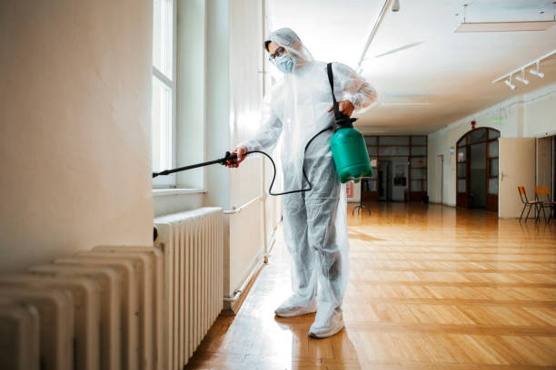 Best Affordable Pest Control Services  in Hudson, OH