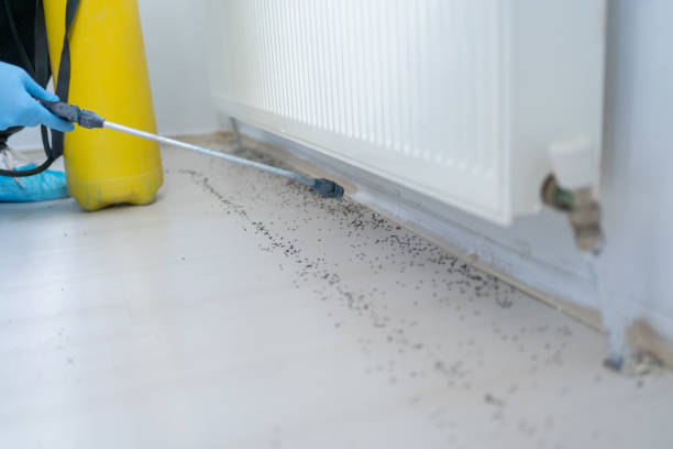 Best Emergency Pest Control  in Hudson, OH